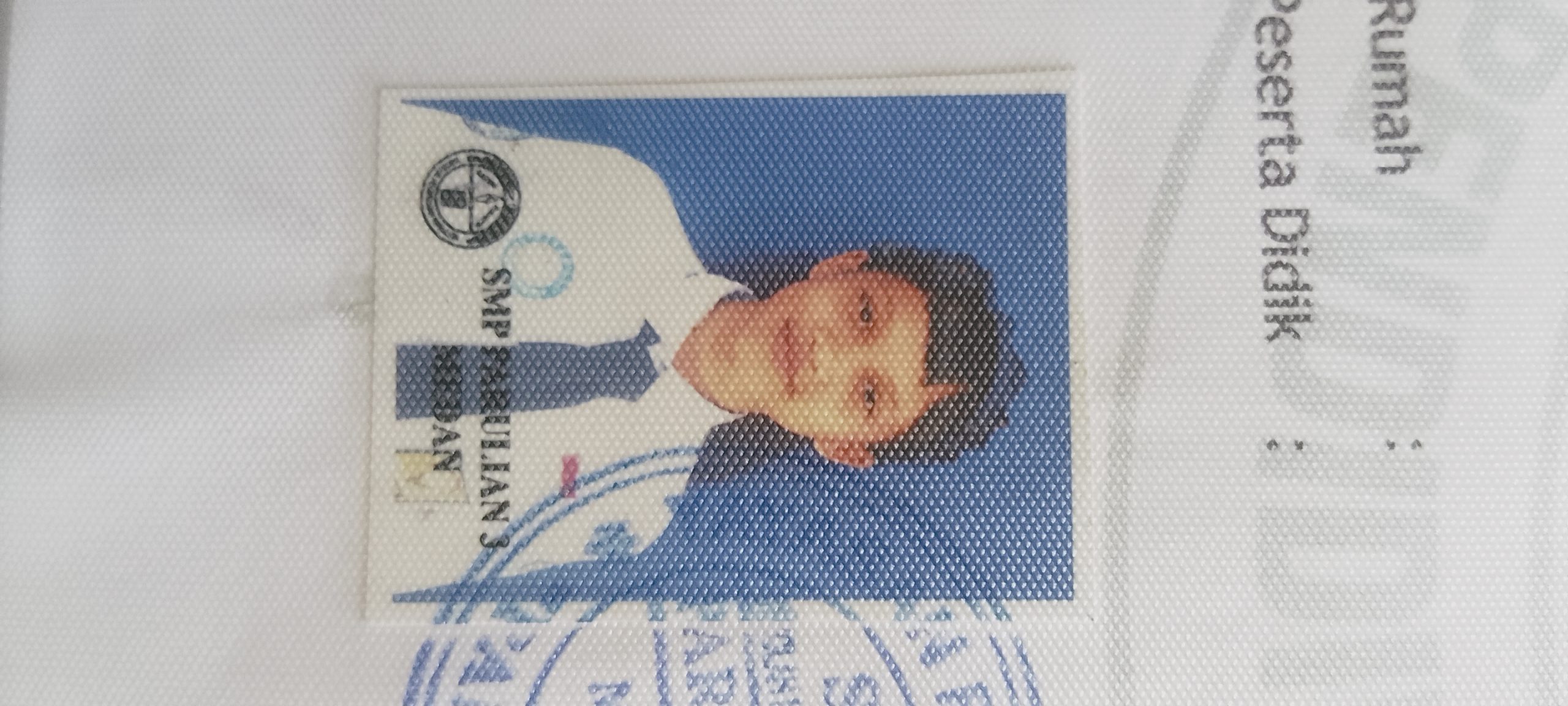 1000353251